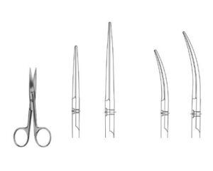 Surgical Scissors