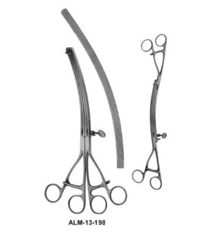 Lane Gastro Intestinal Forceps Twin