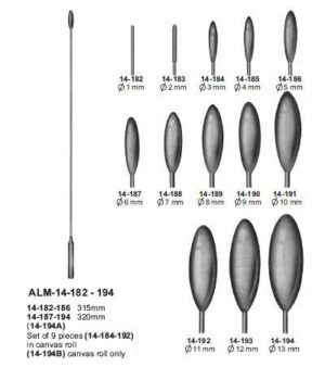 Bakes Common Bile Duct Dilators