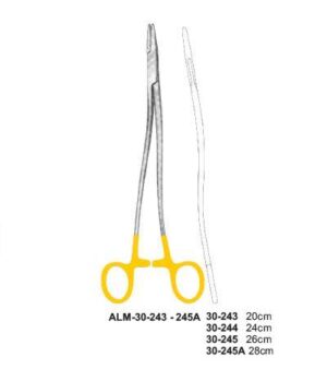 Bozemann Wertheim TC